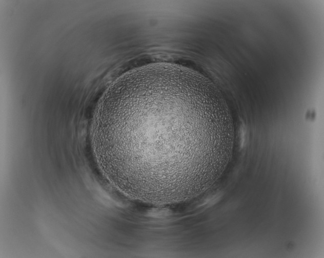 X0000112880271200908211458