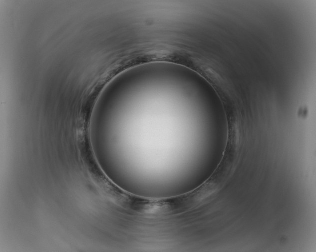 X0000112880274200908211459