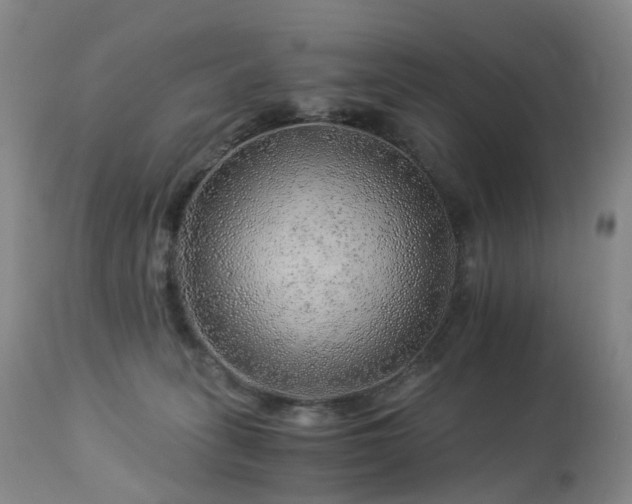 X0000112880275200908211459