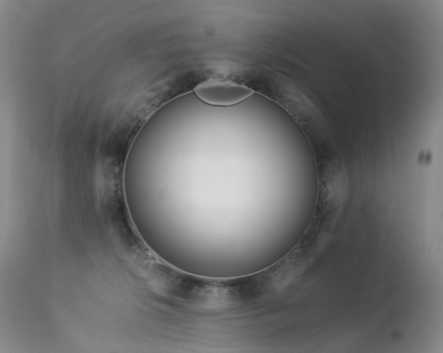 X0000112880276200908211459