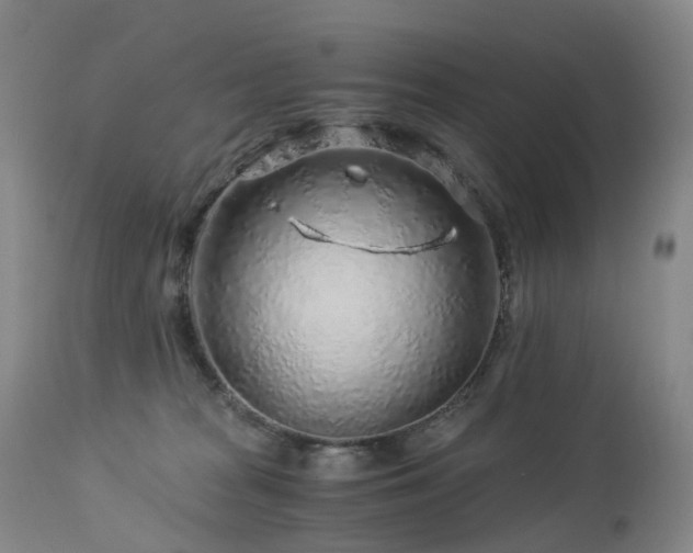 X0000112880277200908211459