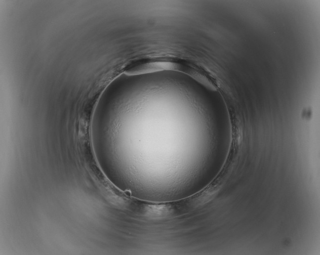 X0000112880281200908211459