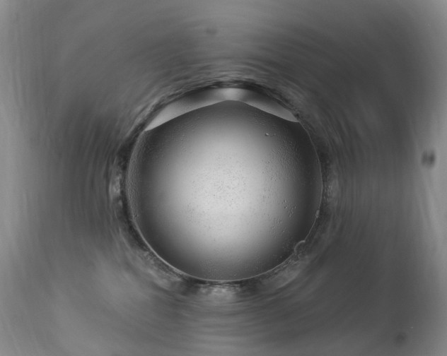 X0000112880282200908211459