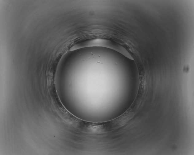 X0000112880283200908211459