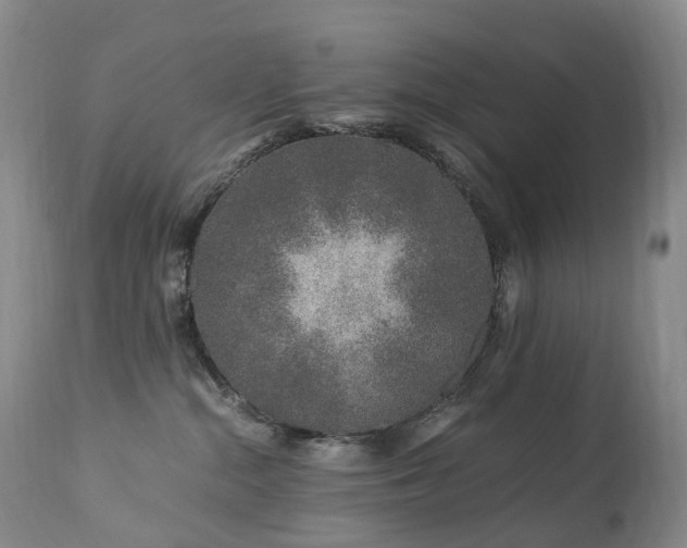 X0000112880284200908211459