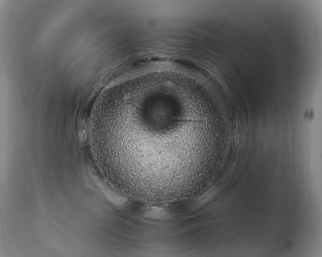 X0000112880285200908211459