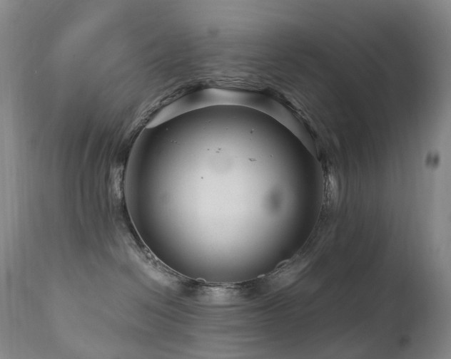 X0000112880286200908211459