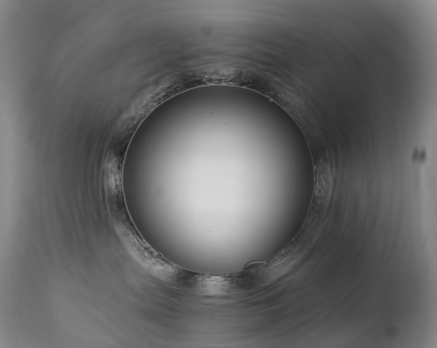 X0000112880287200908211459