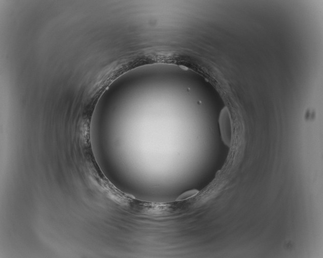 X0000112880288200908211459