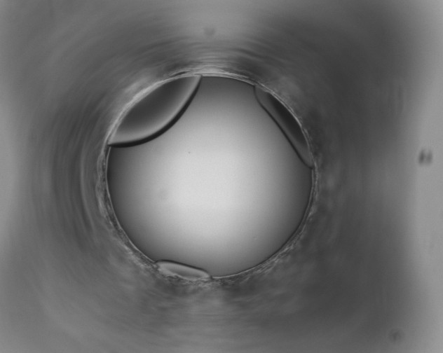 X0000112880289200908211458