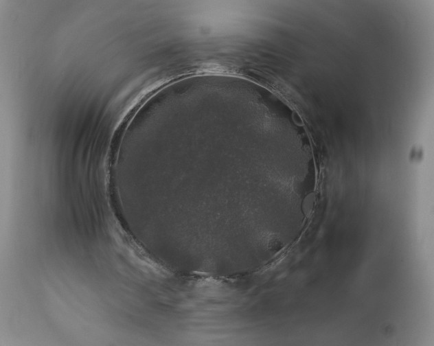 X0000112880290200908211458