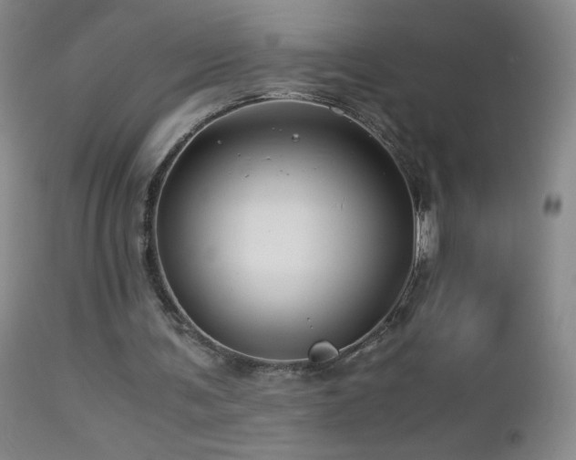 X0000112880291200908211458