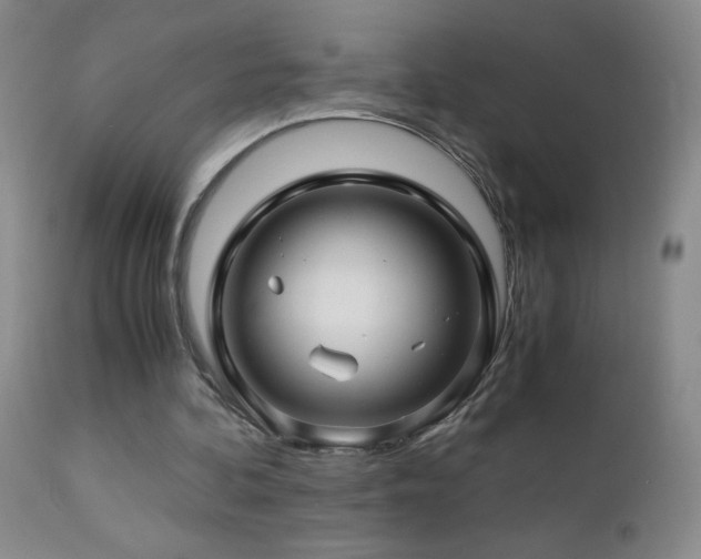 X0000112880292200908211458