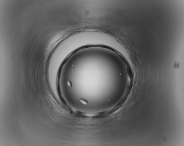 X0000112880293200908211458