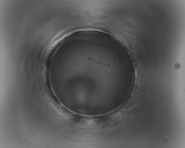 X0000112880295200908211458