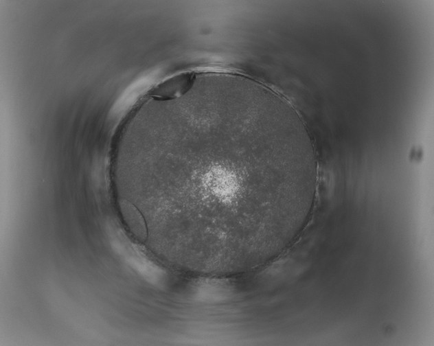 X0000112880296200908211458