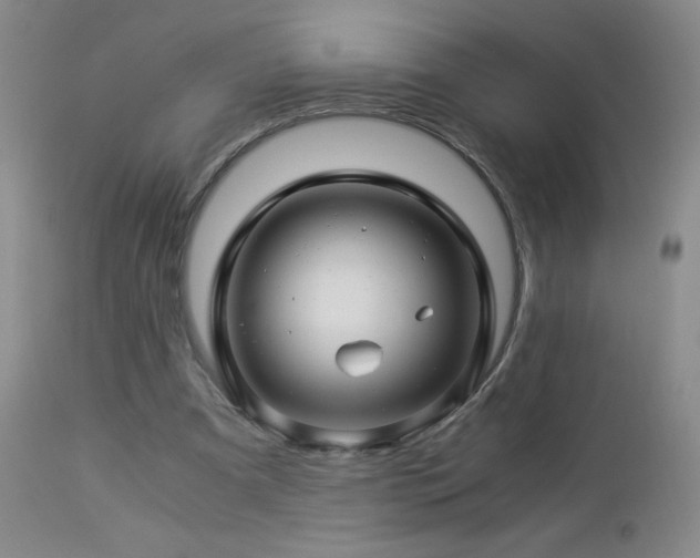 X0000112880297200908211458