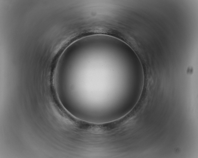 X0000112880299200908211458