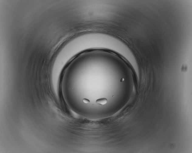 X0000112880300200908211458