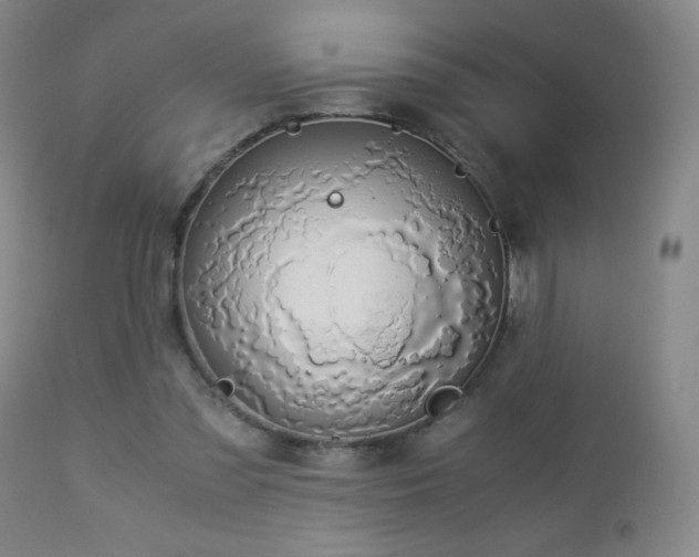 X0000112880301200908211458