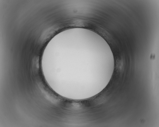 X0000112880302200908211458