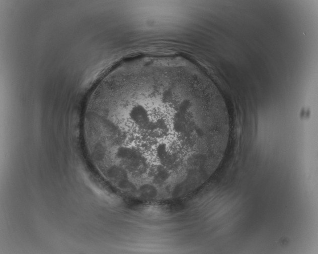 X0000112880303200908211458