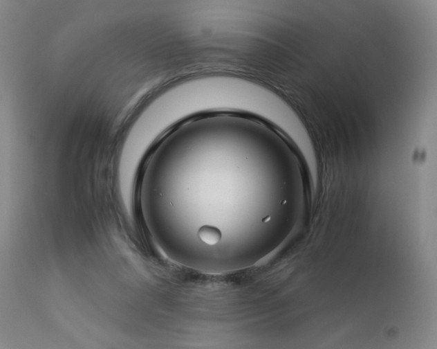 X0000112880304200908211458