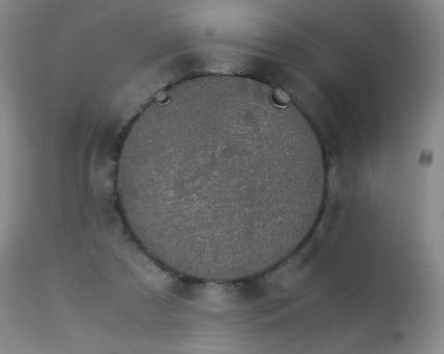 X0000112880305200908211457