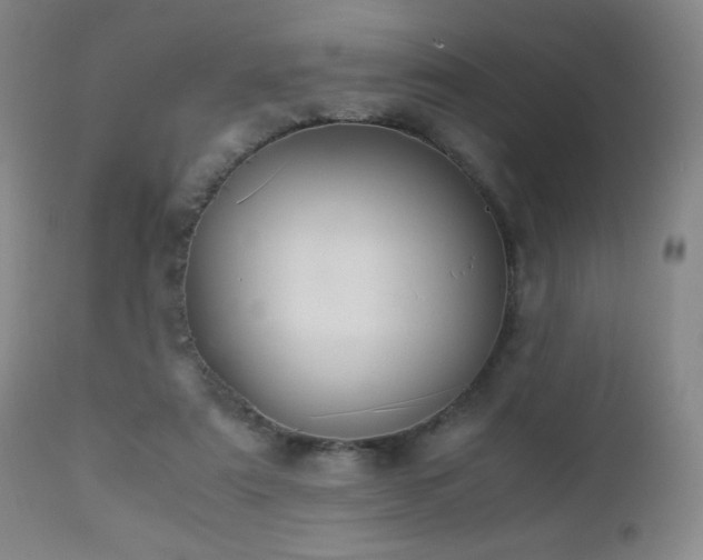 X0000112880307200908211457