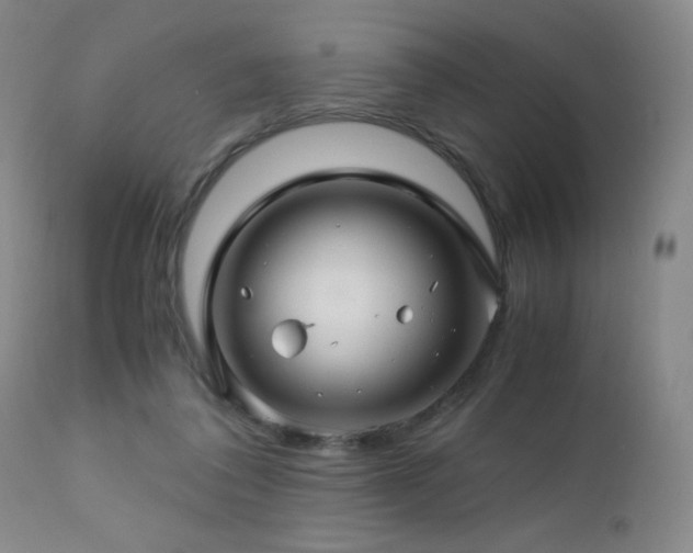 X0000112880308200908211457