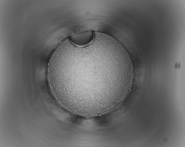 X0000112880309200908211457