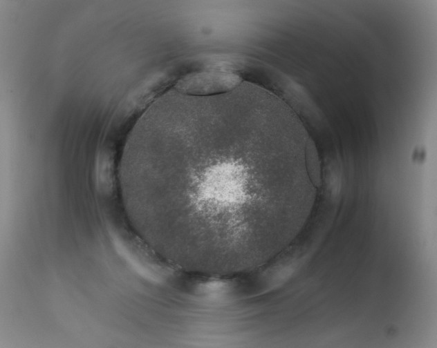 X0000112880312200908211457