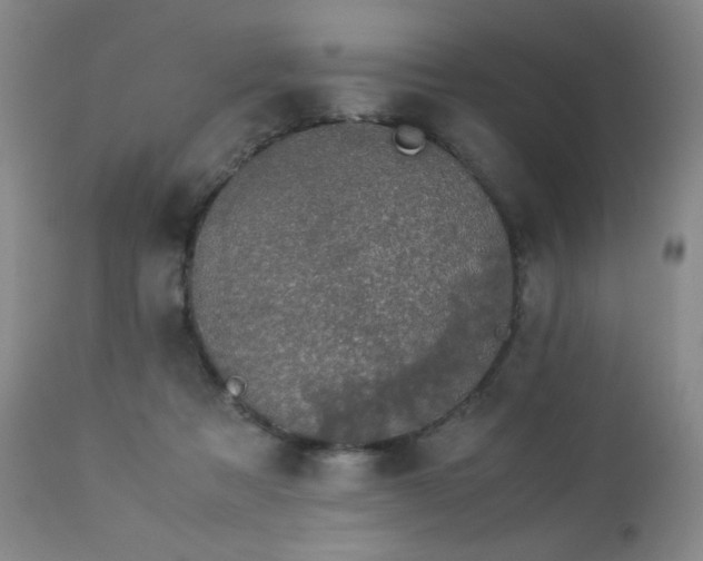 X0000112880313200908211457