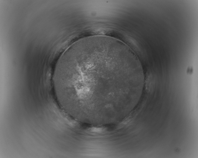 X0000112880314200908211457