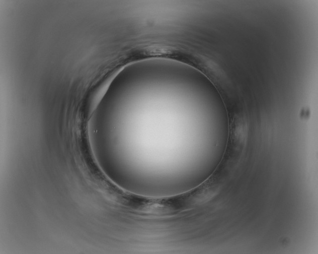 X0000112880315200908211457