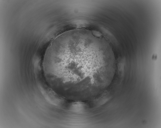 X0000112880316200908211457