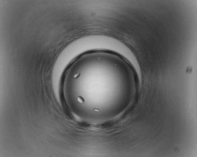 X0000112880317200908211457