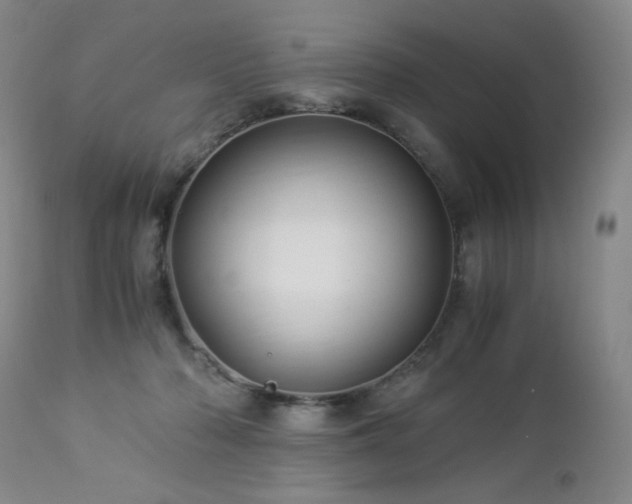 X0000112880318200908211457