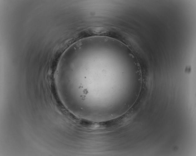 X0000112880319200908211457