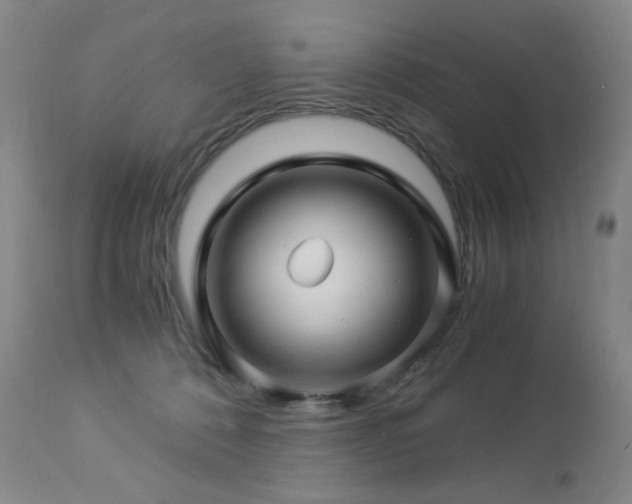 X0000112880320200908211457