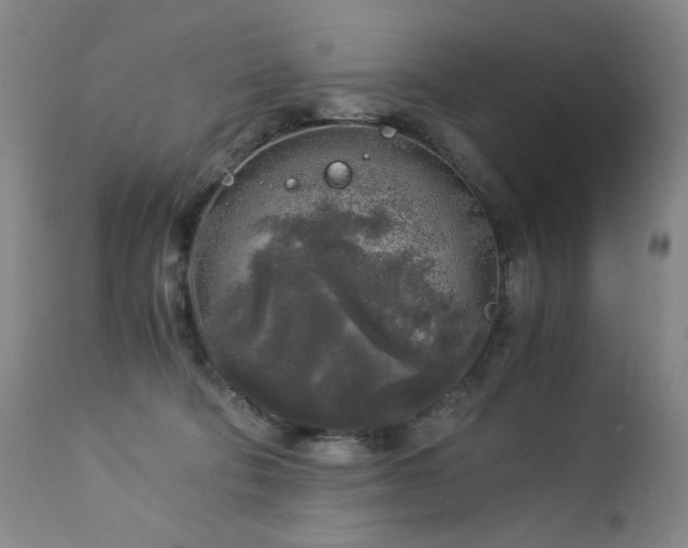 X0000112880322200908211457