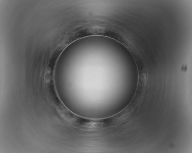 X0000112880323200908211457