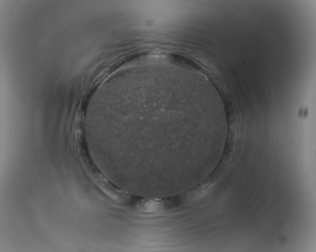 X0000112880325200908211457