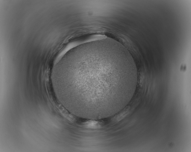 X0000112880326200908211457