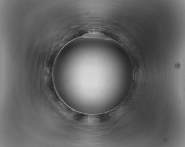 X0000112880327200908211457