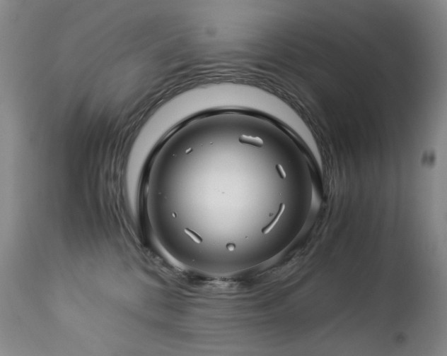 X0000112880328200908211457