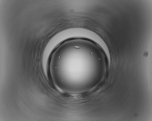 X0000112880329200908211457