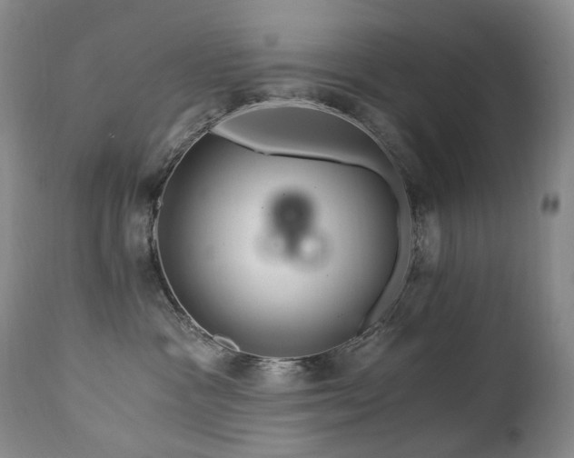 X0000112880333200908211457