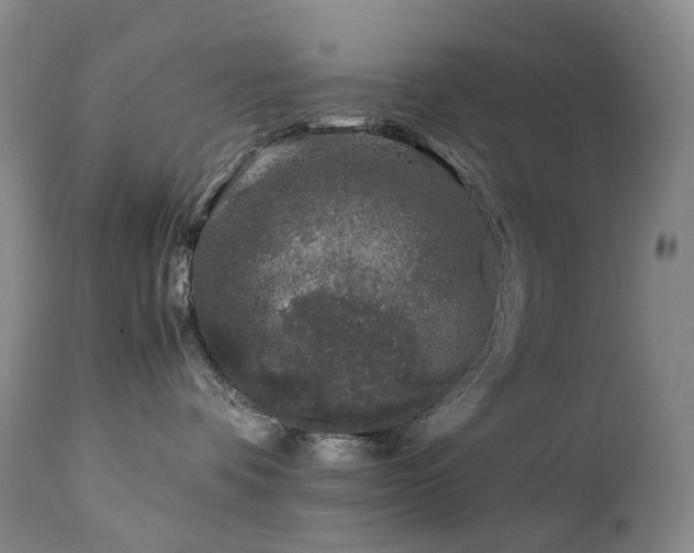 X0000112880336200908211457