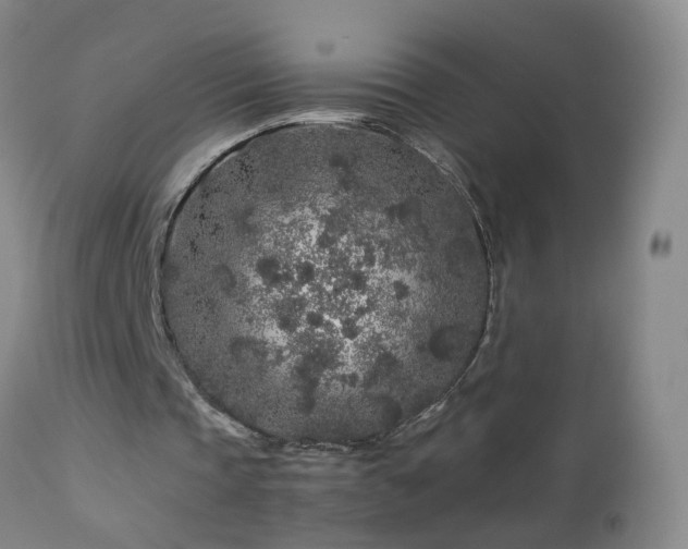 X0000112880337200908211456